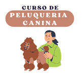 Curso de Peluquería Canina en Caracas